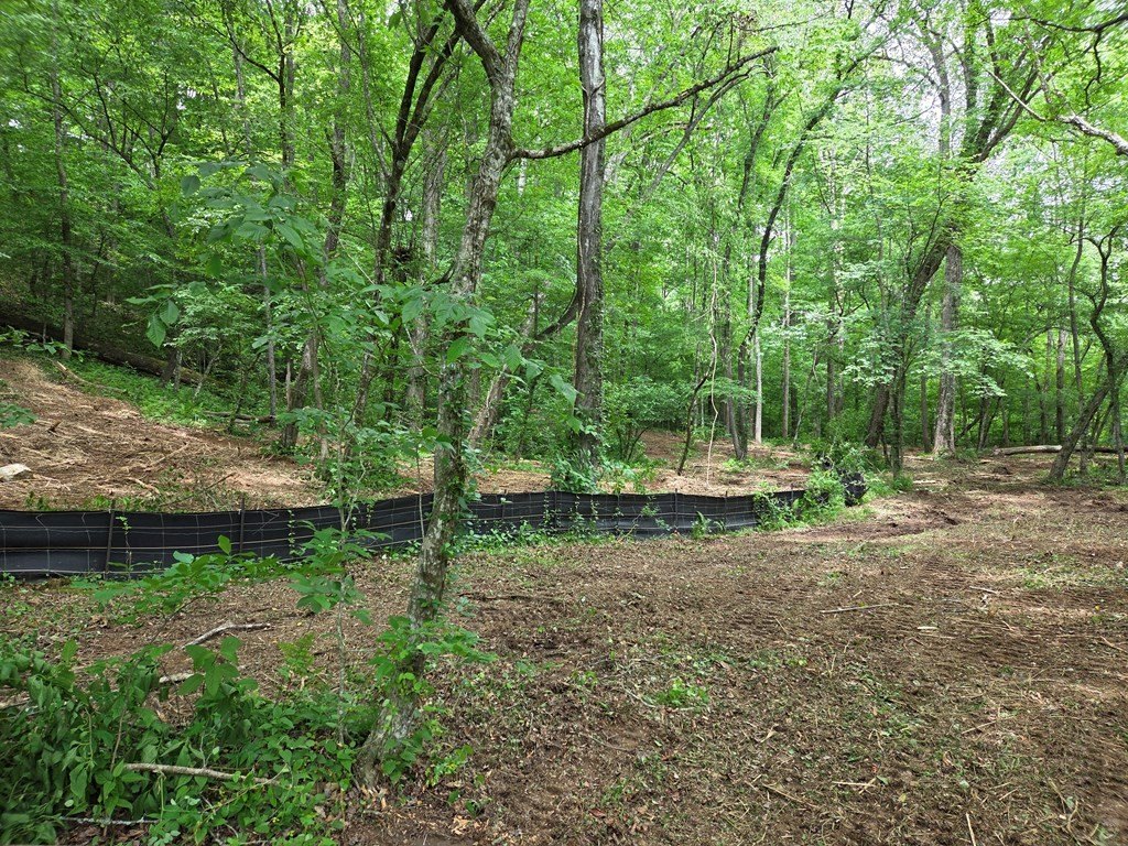 Other - Lot 4 CH Colwell Drive, Blairsville, GA