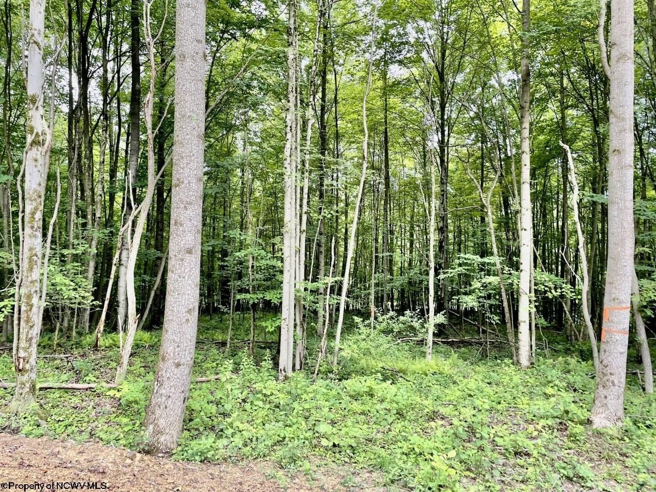 Other - 4 Holleran Heights, Kingwood, WV