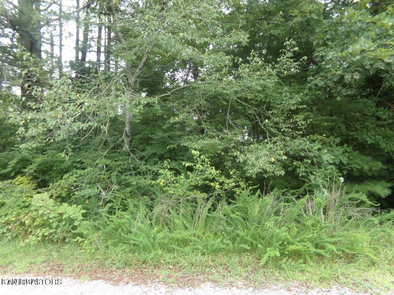 Other - 5018 Beaver Rd, Crossville, TN