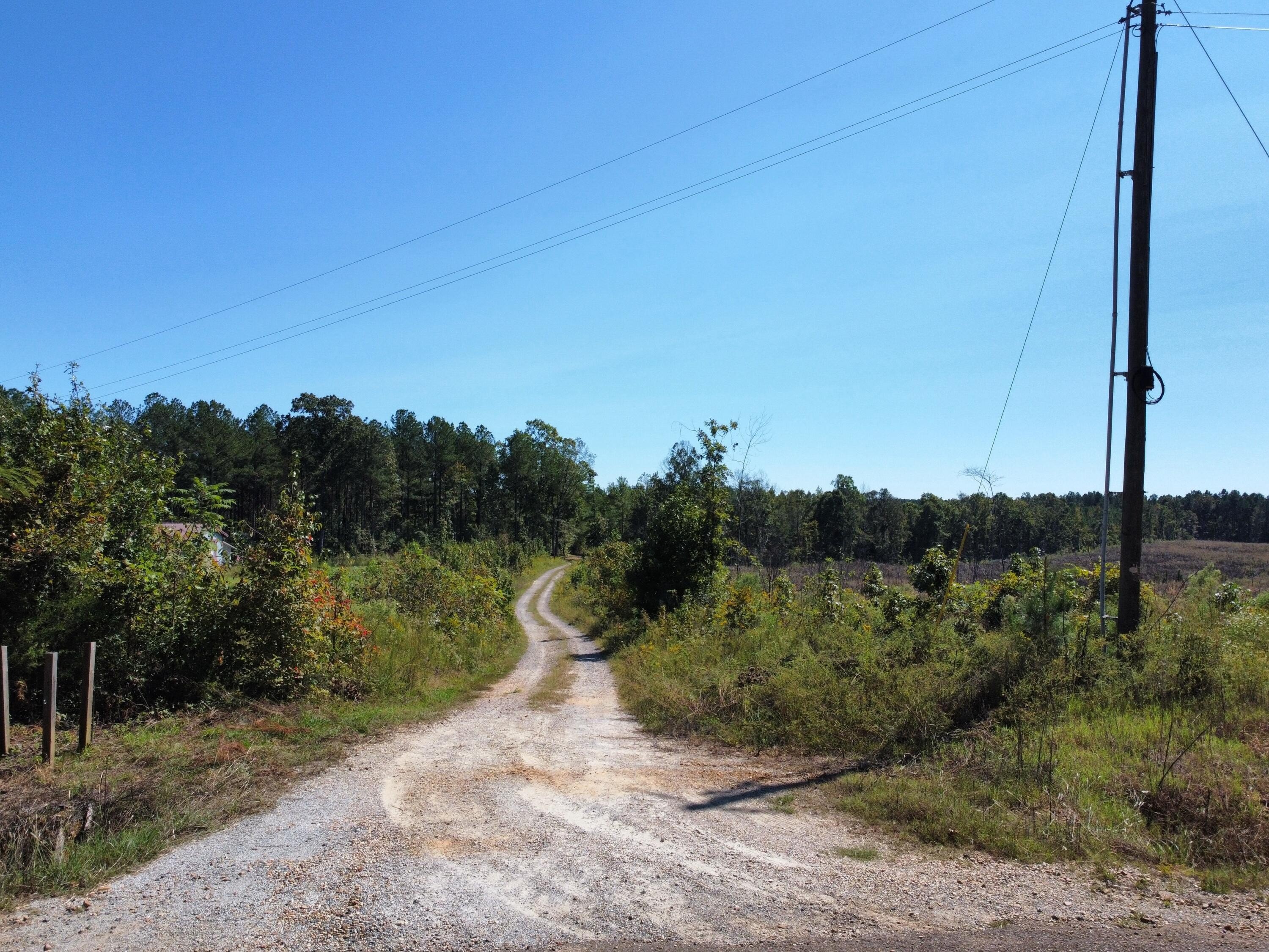 Single Family - Lot 3 State Hwy 790, Ackerman, MS