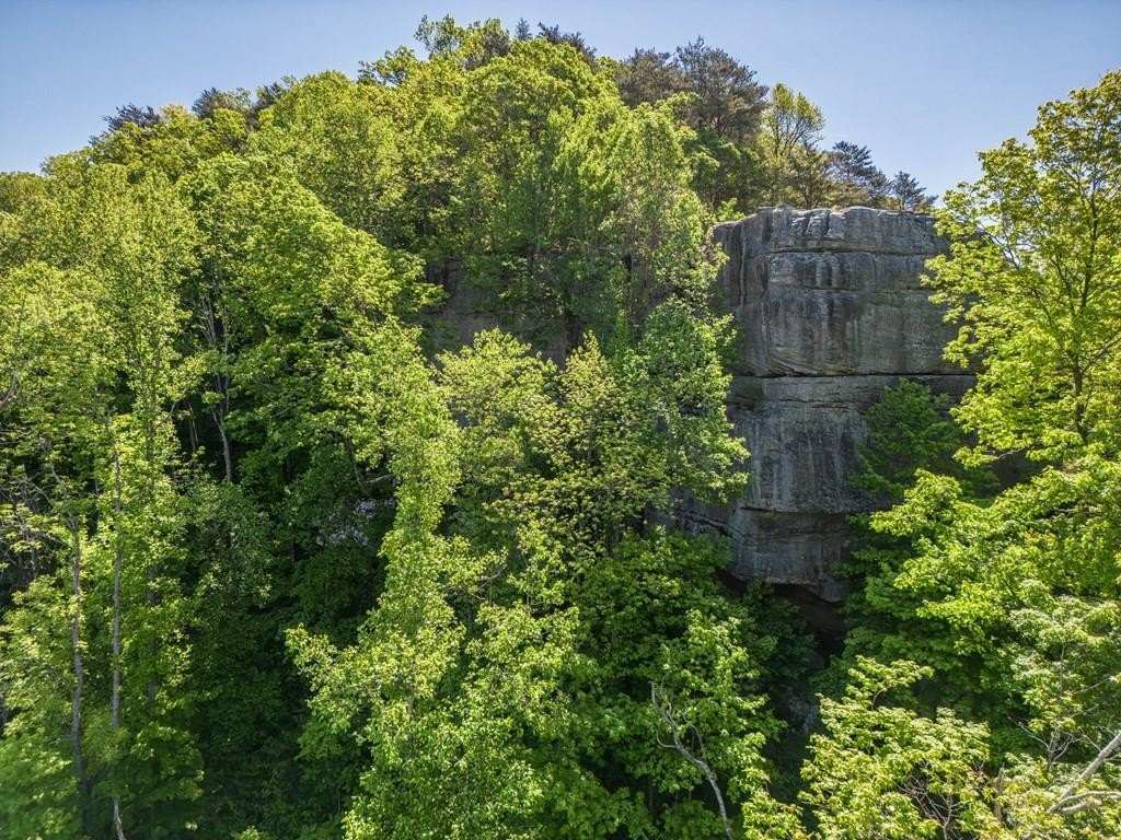 Other - 10 Westridge Trail lot: 163, Monterey, TN