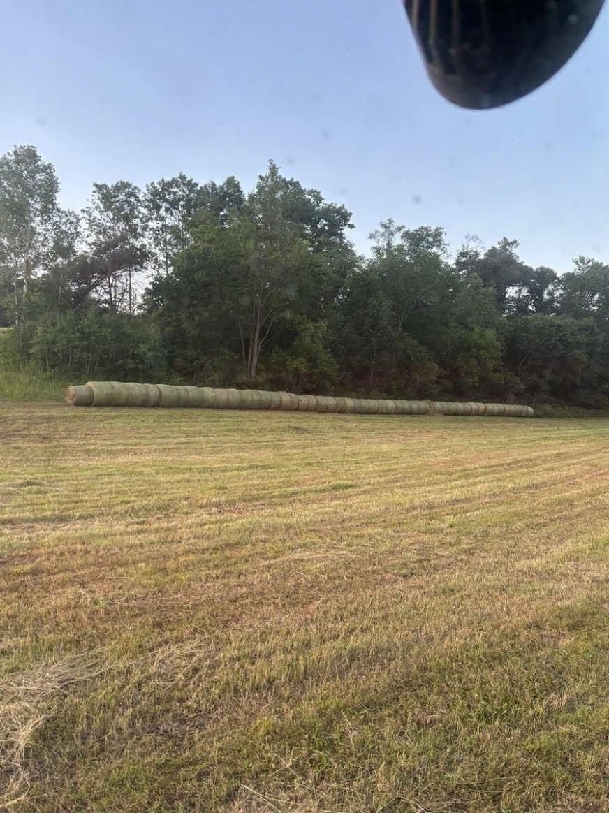 Other - 32.25 Acres Hwy 80, Elroy, WI