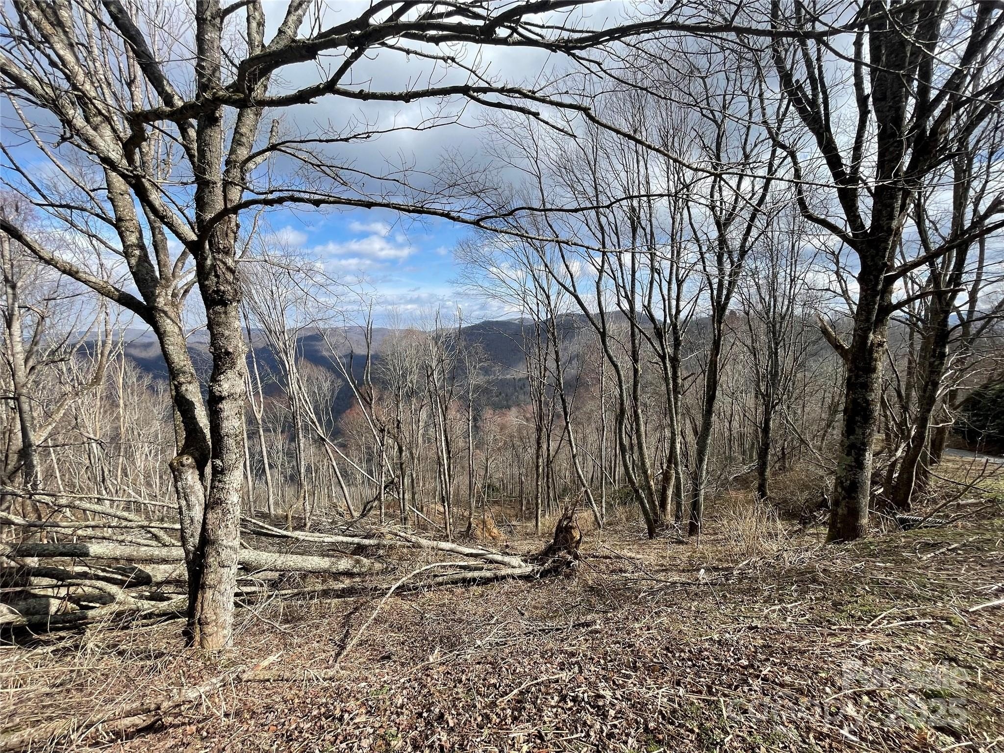 Other - Ridge Top Circle lot: #39, Clyde, NC