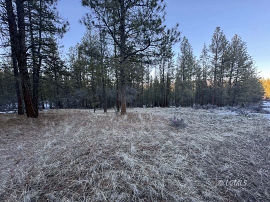 Other - Bobcat Circle, Beatty, OR