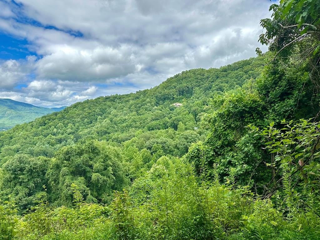Other - Lot 32 Shiloh Trail, Hayesville, NC