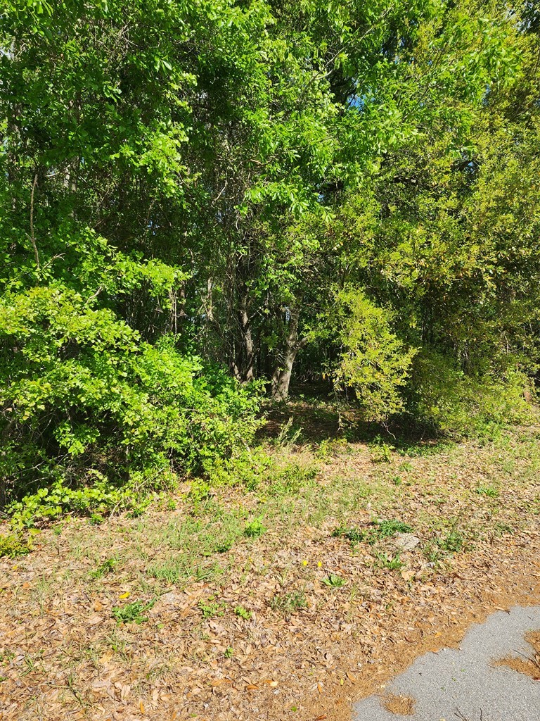 Other - 2395 Killdee, Sumter, SC