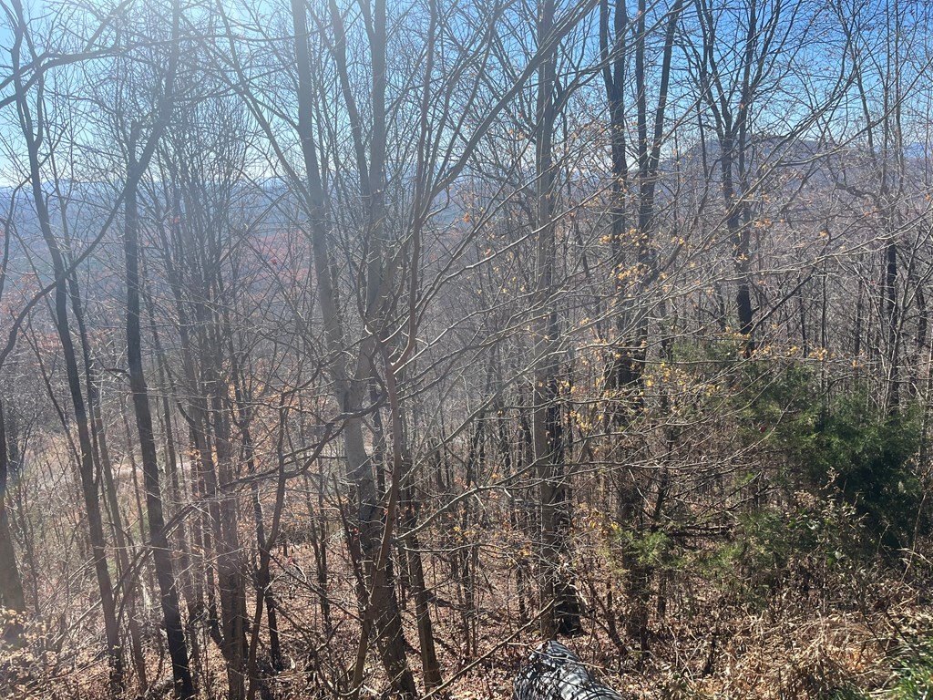 Other - Lot 132 Sanctuary Drive, Murphy, NC