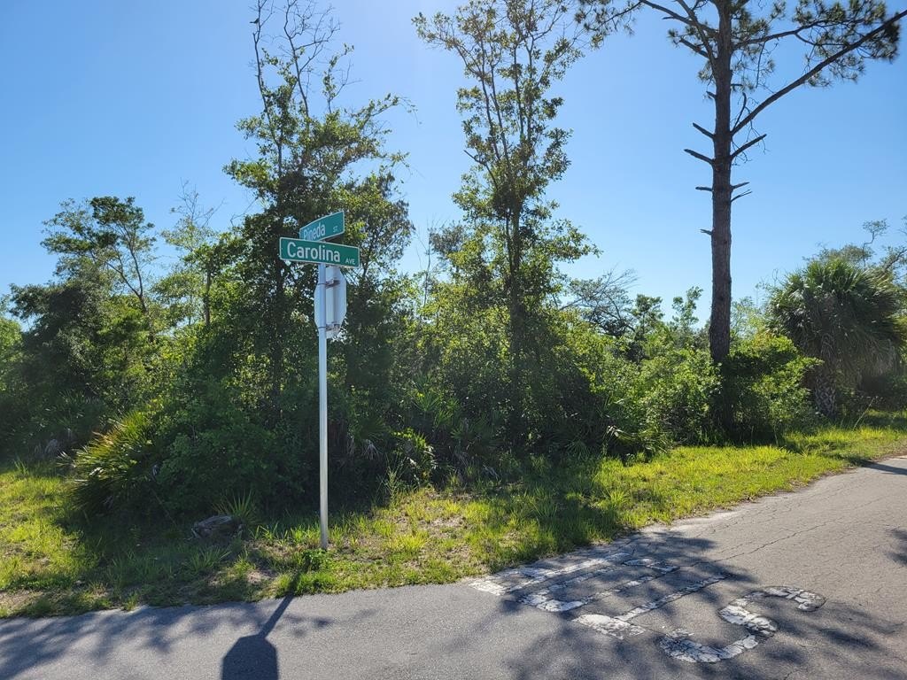 Other - Carolina Ave lot: # 8, Port St. Joe, FL