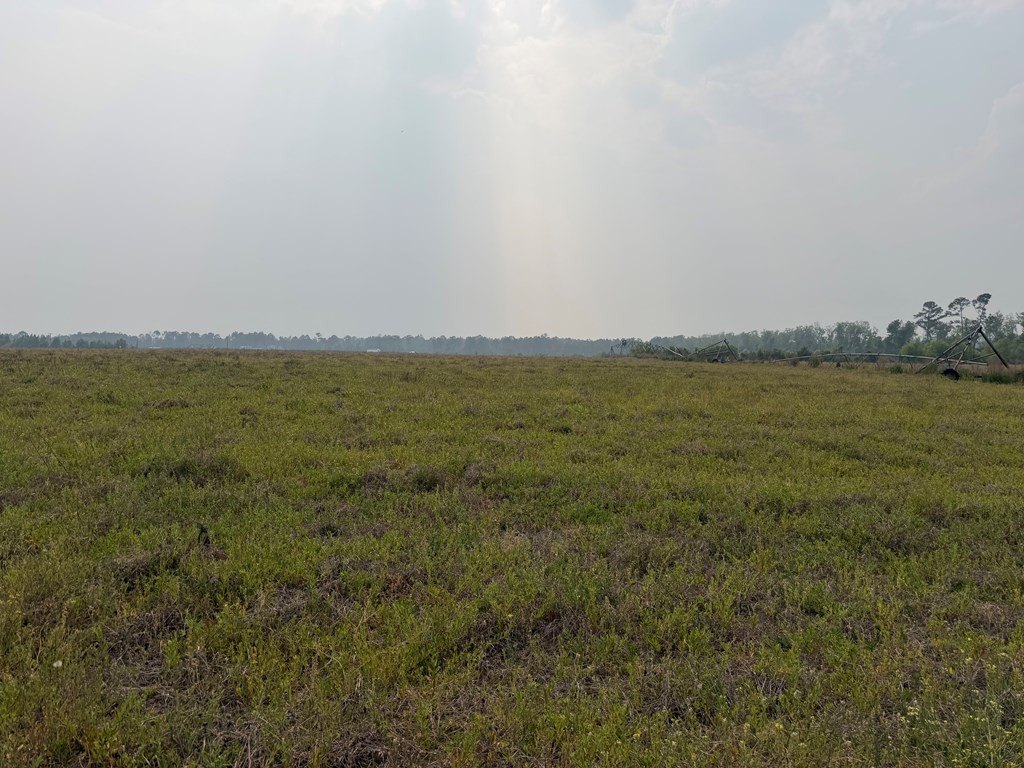 Single Family - 0 Moore Road Tract 13, Naylor, GA
