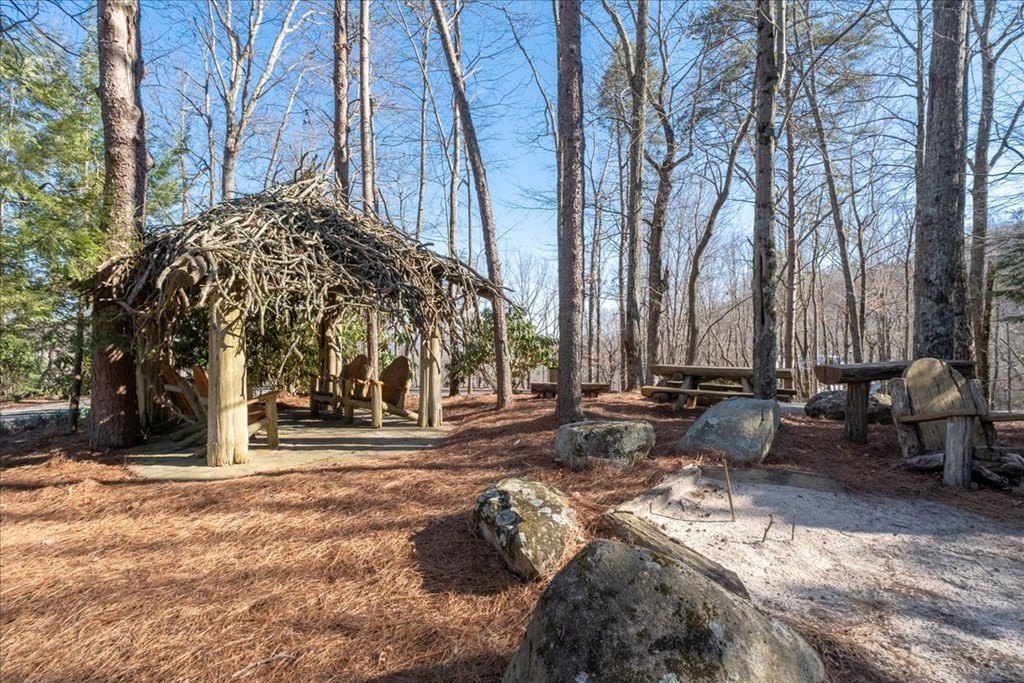Other - Lot 1 Chief Whitetails Road, Ellijay, GA