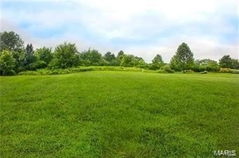 Other - 616 OAK HILL Drive, Belleville, IL