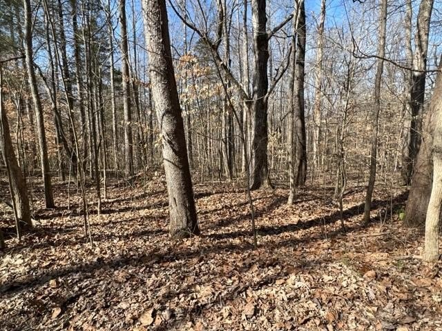 Single Family - 55-56 Old Tobaccoport Rd, BUMPUS MILLS, TN