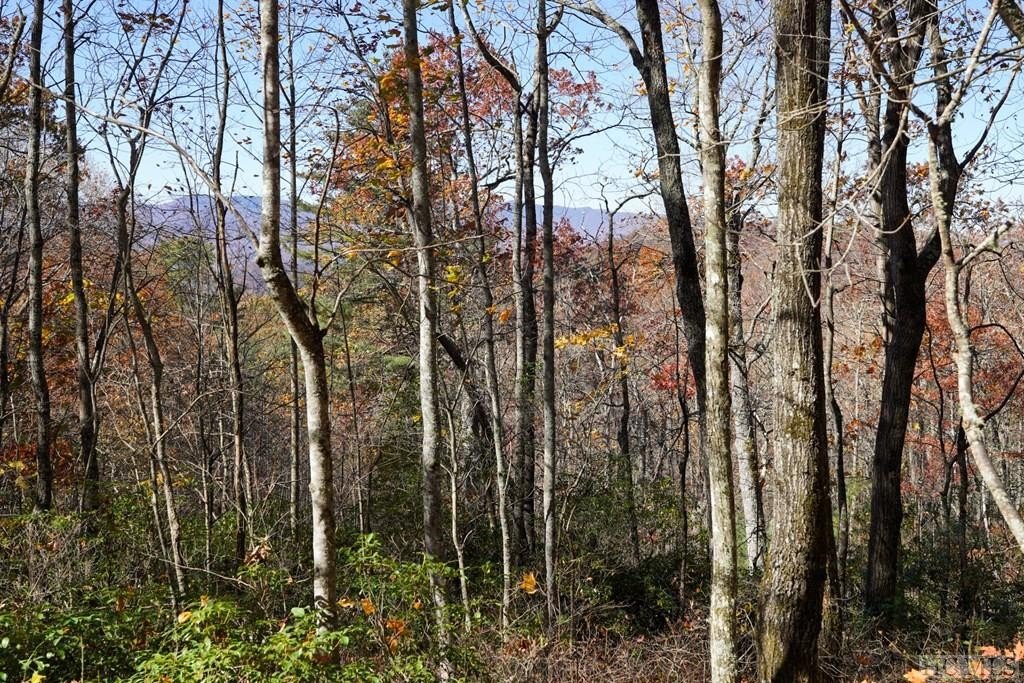 Other - Silly Ridge Road lot: 3, Scaly Mountain, NC