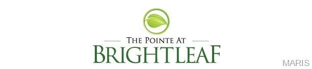 Single Family 2BR 2BA - 1 TBB Ashland Pointe @ Brightleaf Orchard Villas, Wildwood, MO