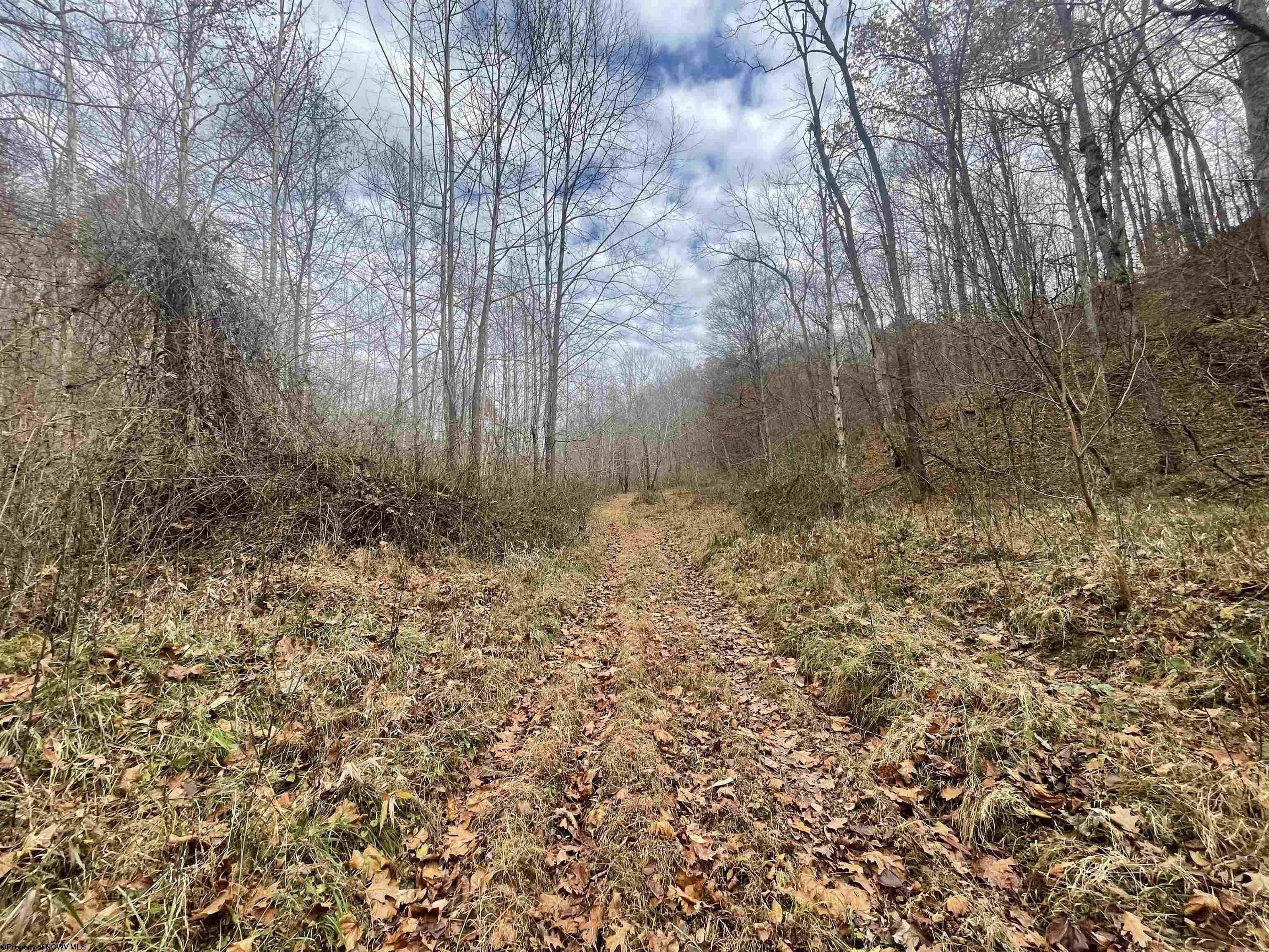 Other - Sand Fork Road, Walkersville, WV