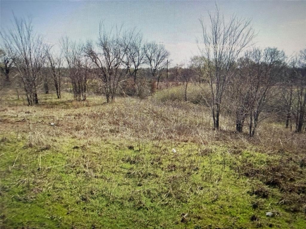 Plots and Land - Lot 19 Reast Road, Whitesboro, TX