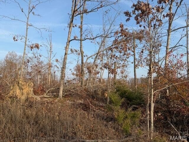 Single Family - Fox Circle Drive Lot 12 Road, Mountain View, MO