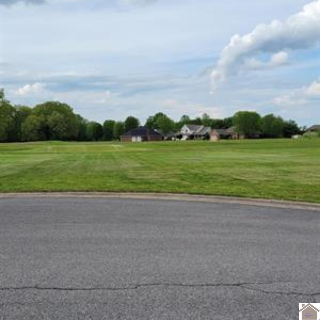 Other - Doral Court lot: 11, Ledbetter, KY