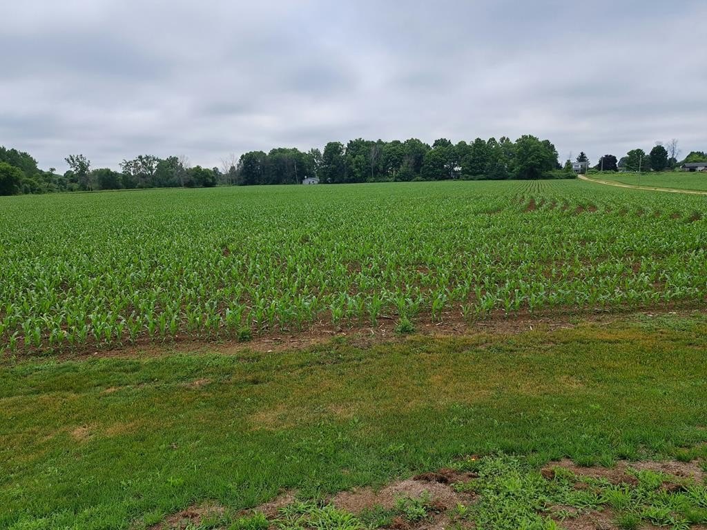 Other 3BR 1BA - 8754 County Rd C, Sturgeon Bay, WI