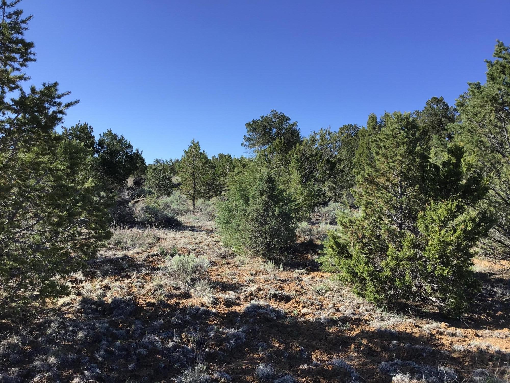 Lot 11 Pinecrest Rd  