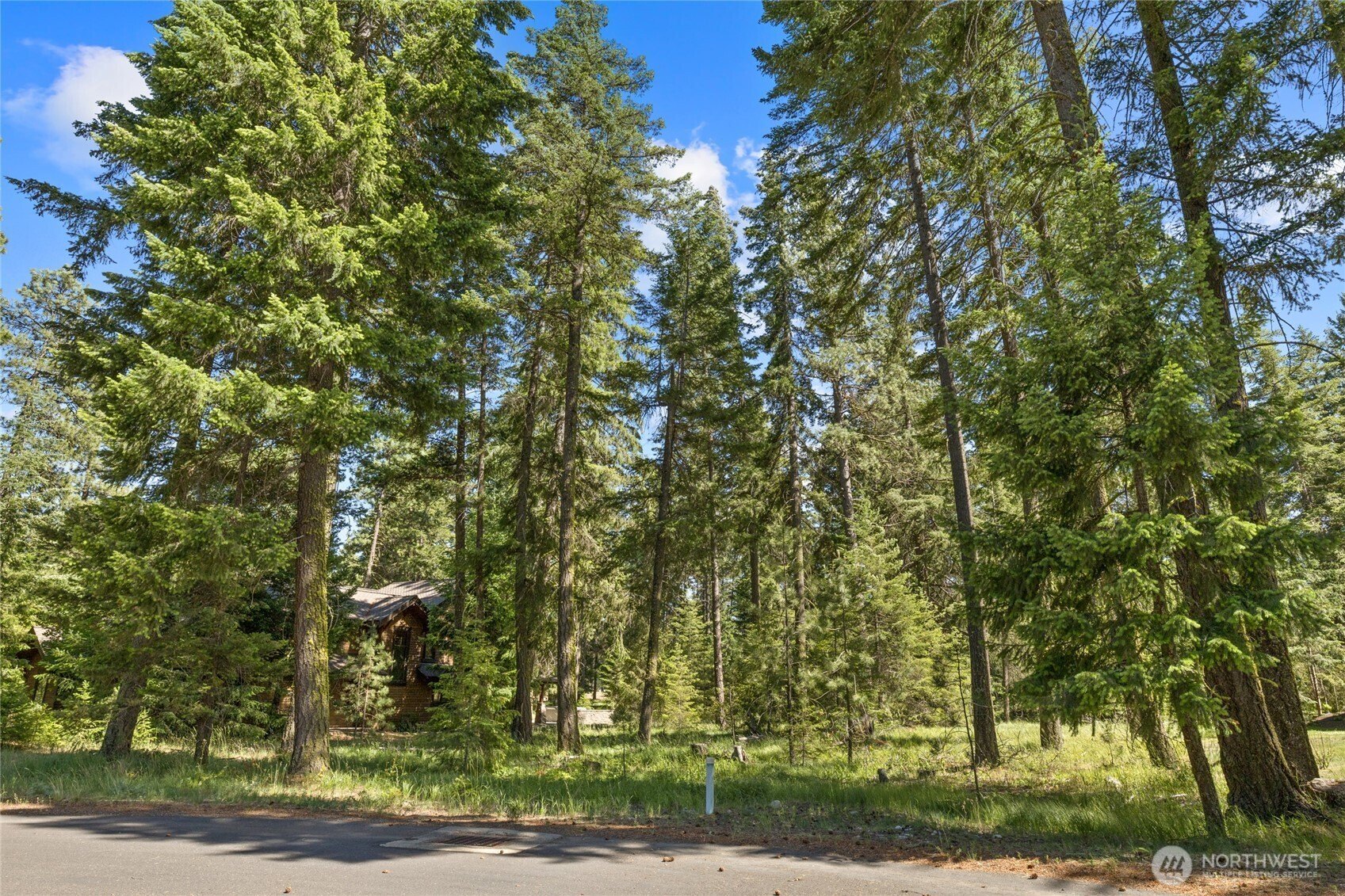 Other - 110 Wood Rose Court, Cle Elum, WA