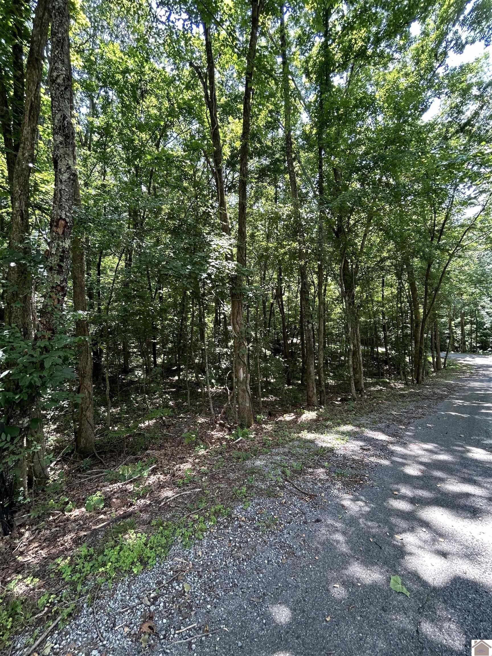 Other - Cedar Lane, Cadiz, KY