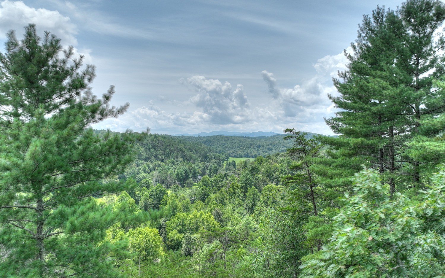 Other - Lt 22 Rolling Hills Drive, Morganton, GA