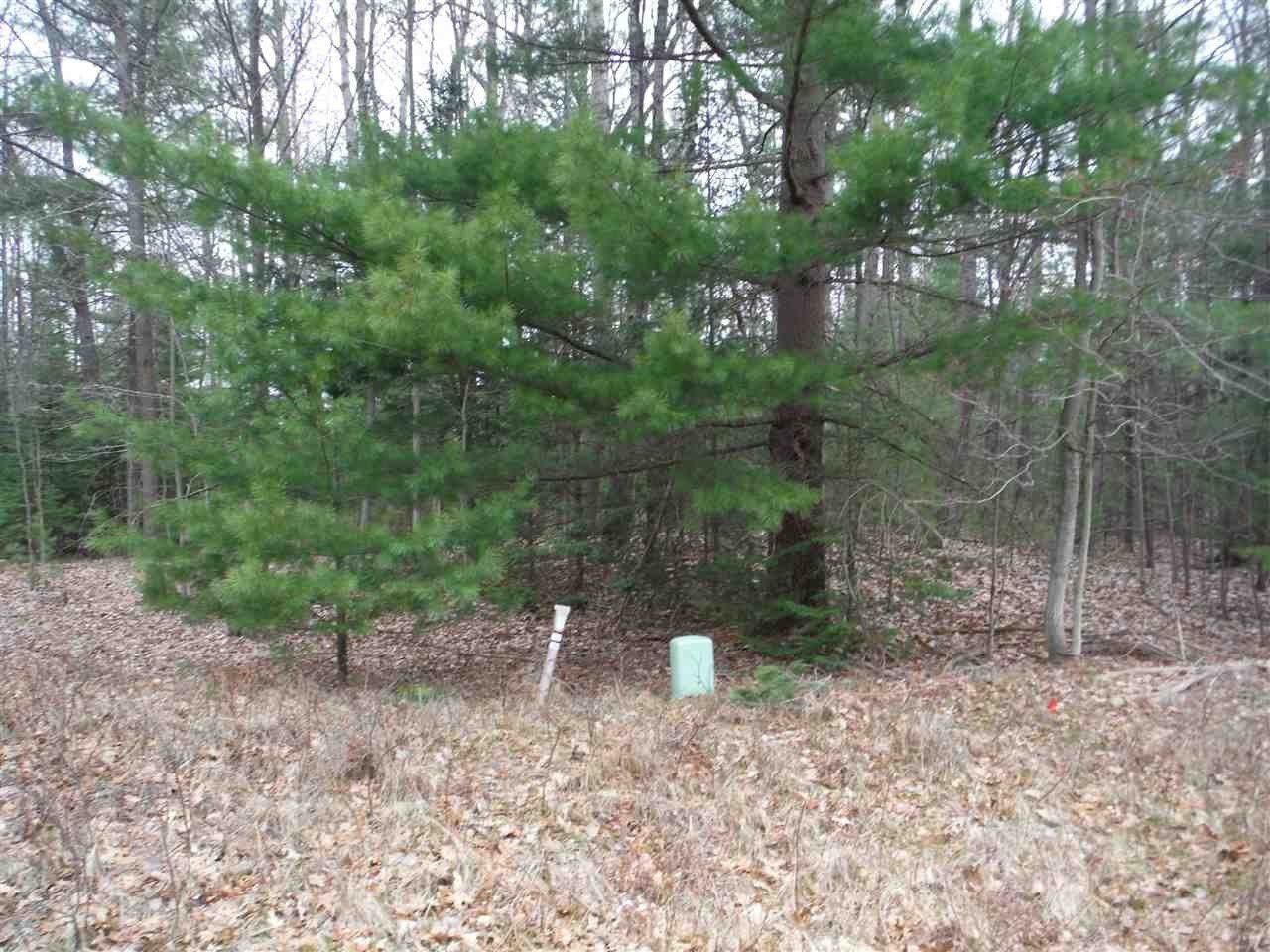 Other - Indian Oaks Lot 9, Prudenville, MI