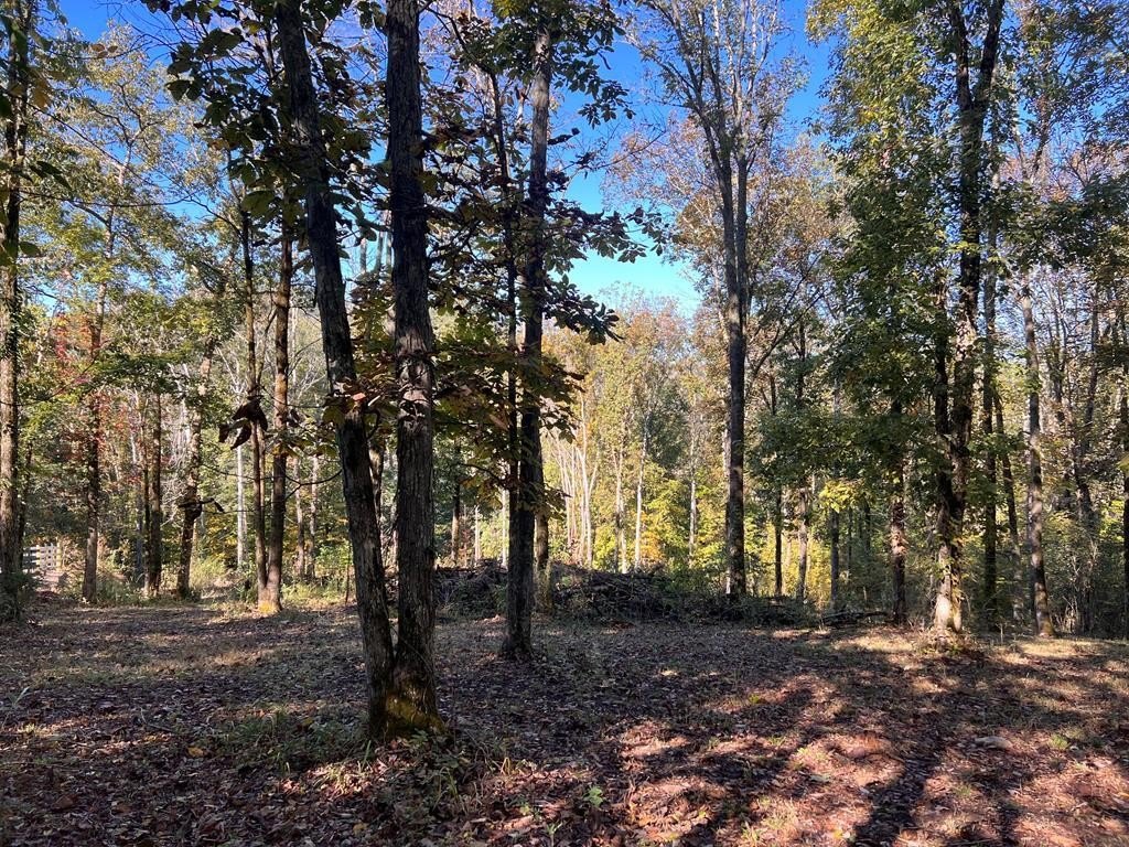 Other - Shoreside Dr lot: 19, Smithville, TN