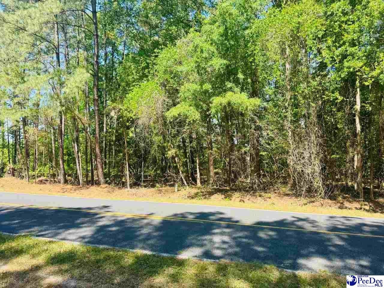 Other - Grants Mill Rd W, Bennettsville, SC