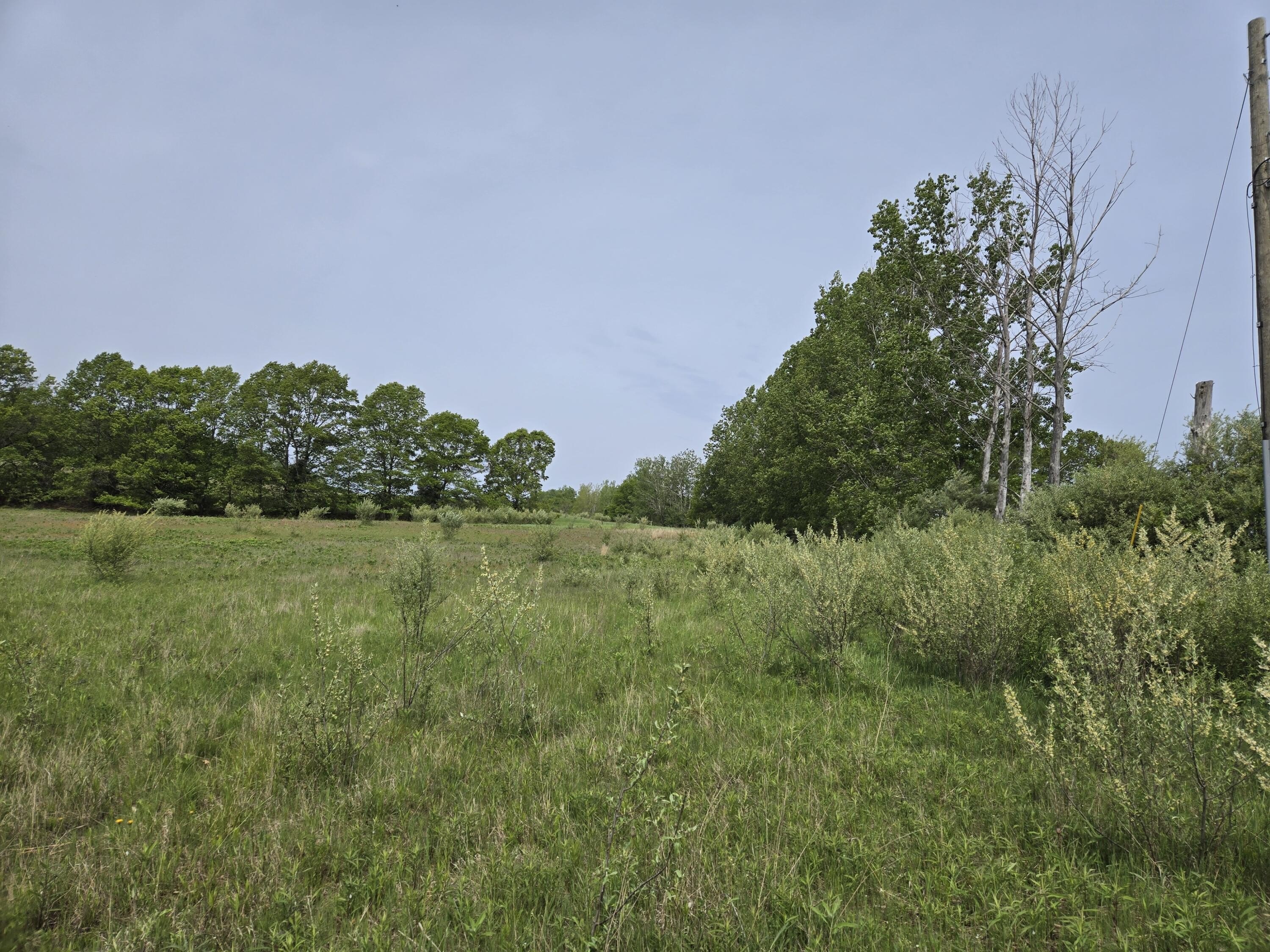 15 Acres Juniper Bch Rd