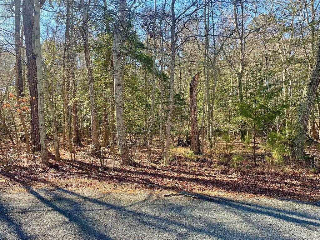 Other - Lot 81 NEPTUNE DR, GREENBACKVILLE, VA