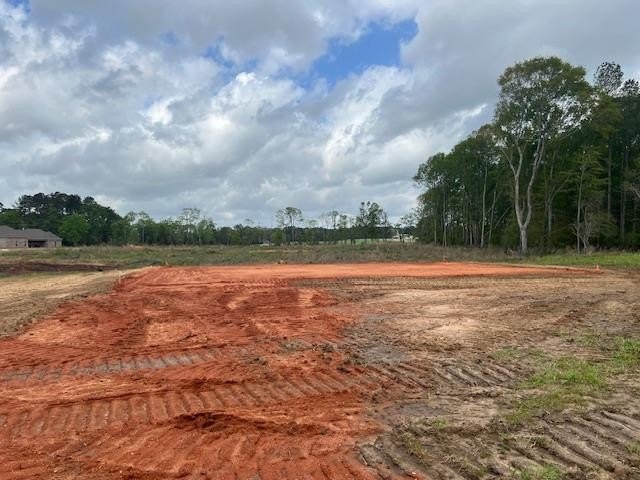Single Family 5BR 3BA - 33 M D Thompson Rd, Moselle, MS