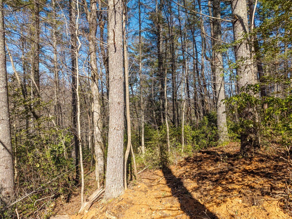 Other - 112 Big Pine Hill, Blairsville, GA