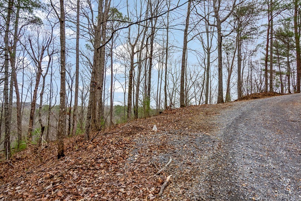 Other - Lot 1694 Shade Tree Drive, Talking Rock, GA