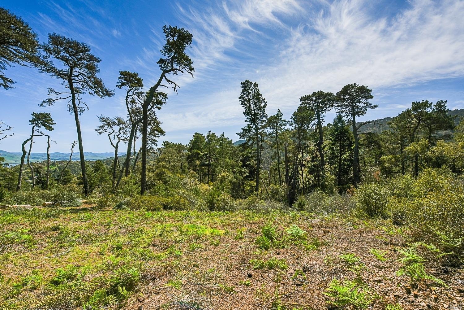 Other - 531 Via De La Vista, Inverness, CA