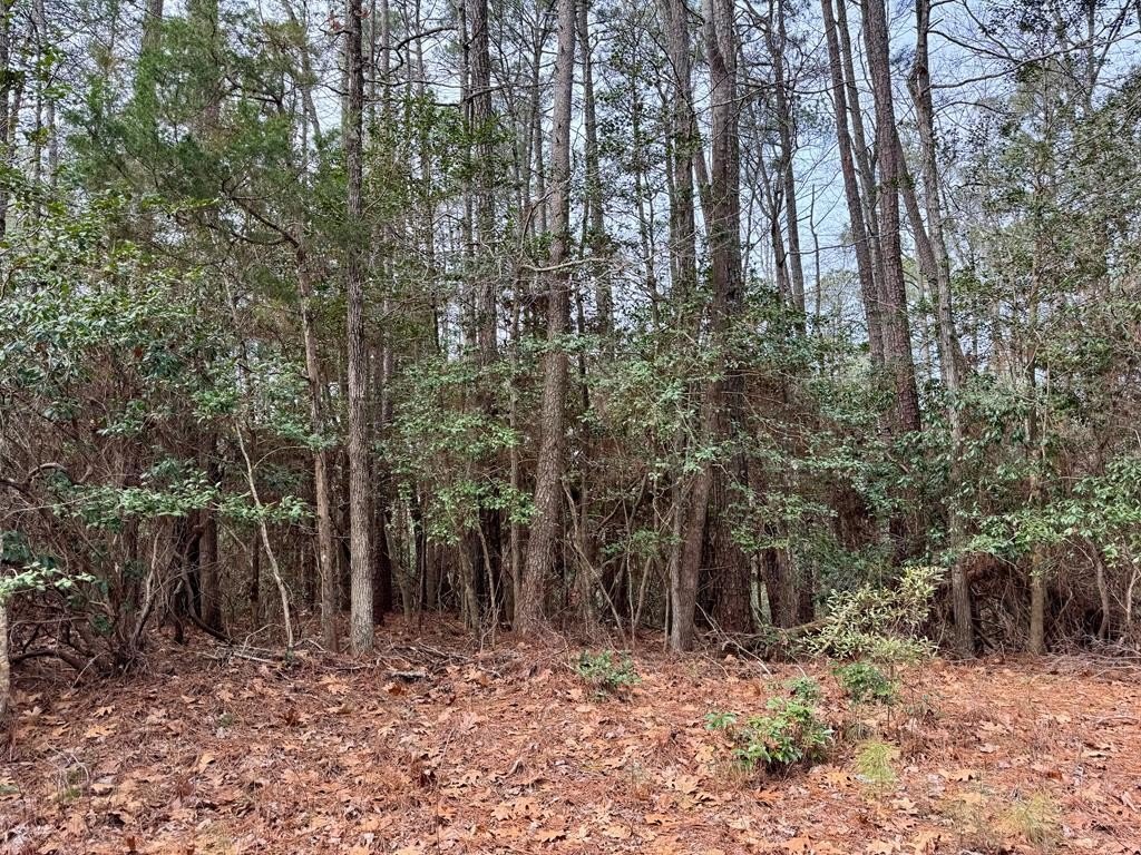 Single Family - 270&276 Ridge Road, Lancaster, VA