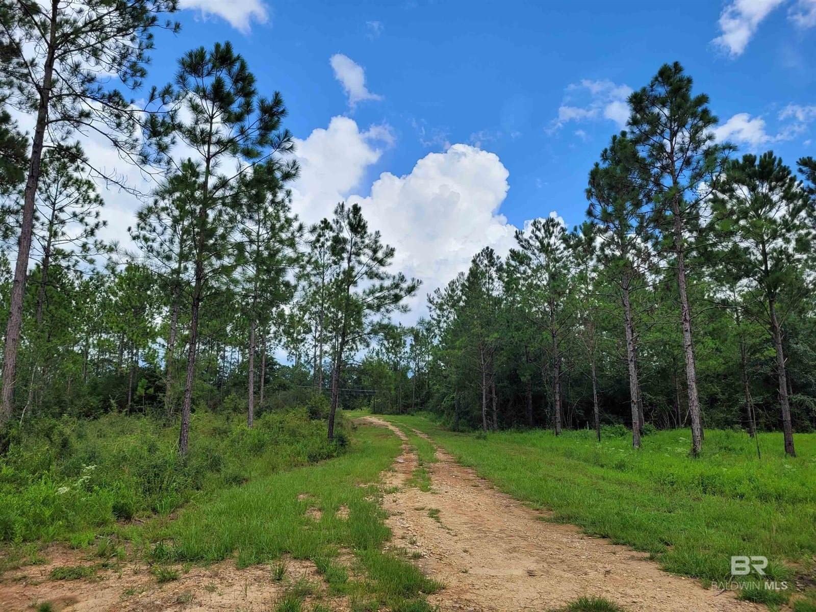 Other - 39449 South State Highway 59, Bay Minette, AL