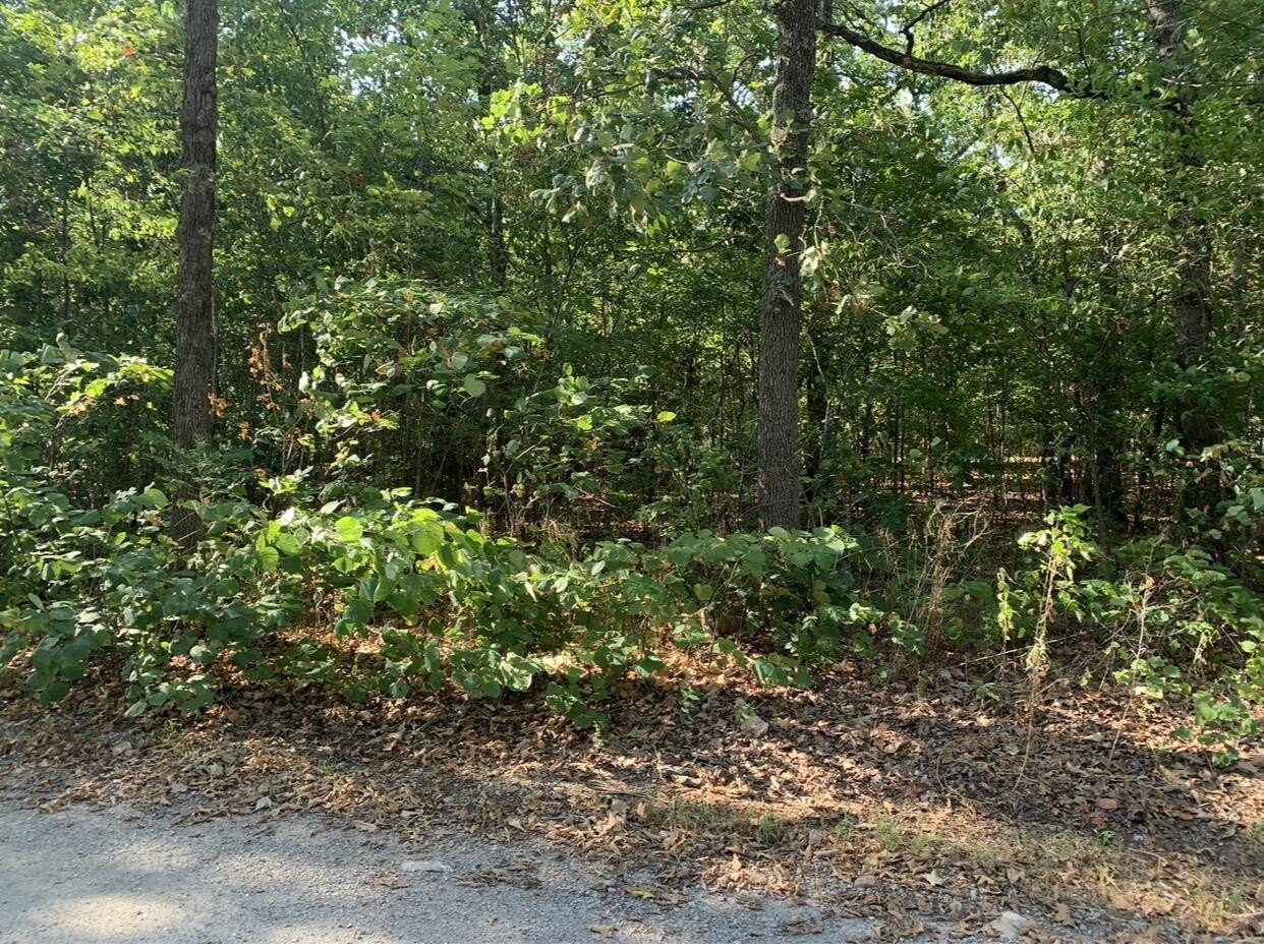 E 247 Rd  