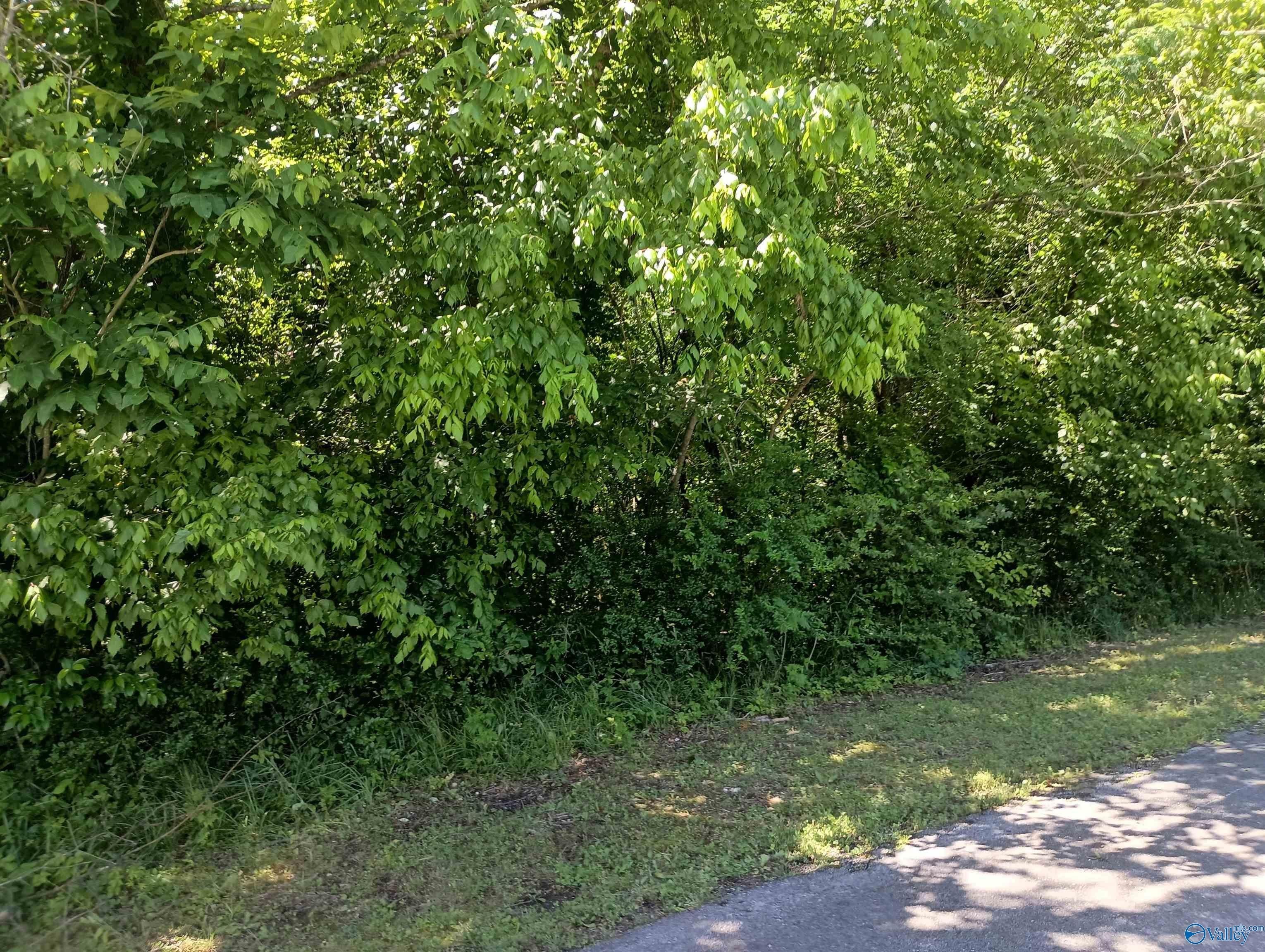 Other - 405 Hammond Avenue, Attalla, AL