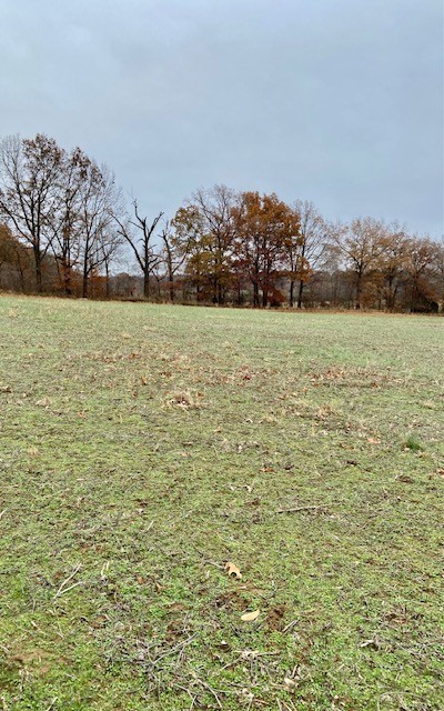 County Rd 267  