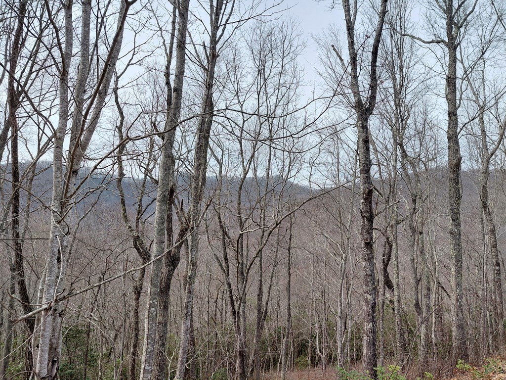 Other - 11 Houndog Trail, Bryson City, NC