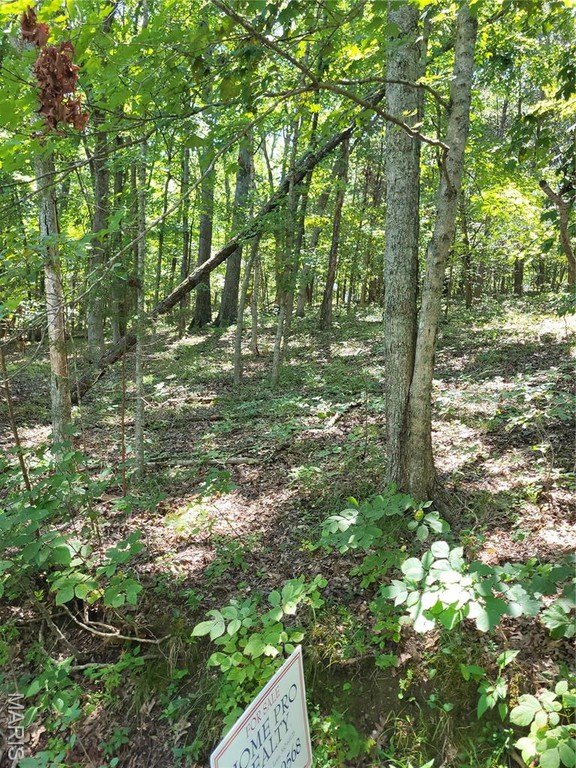Other - Lot 3 B Lakehill Drive, Hillsboro, MO