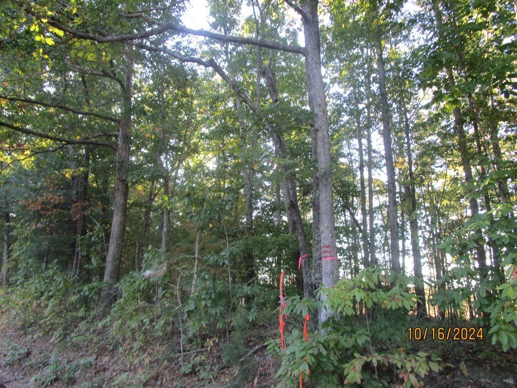 Other - Rubermont, Victoria, VA