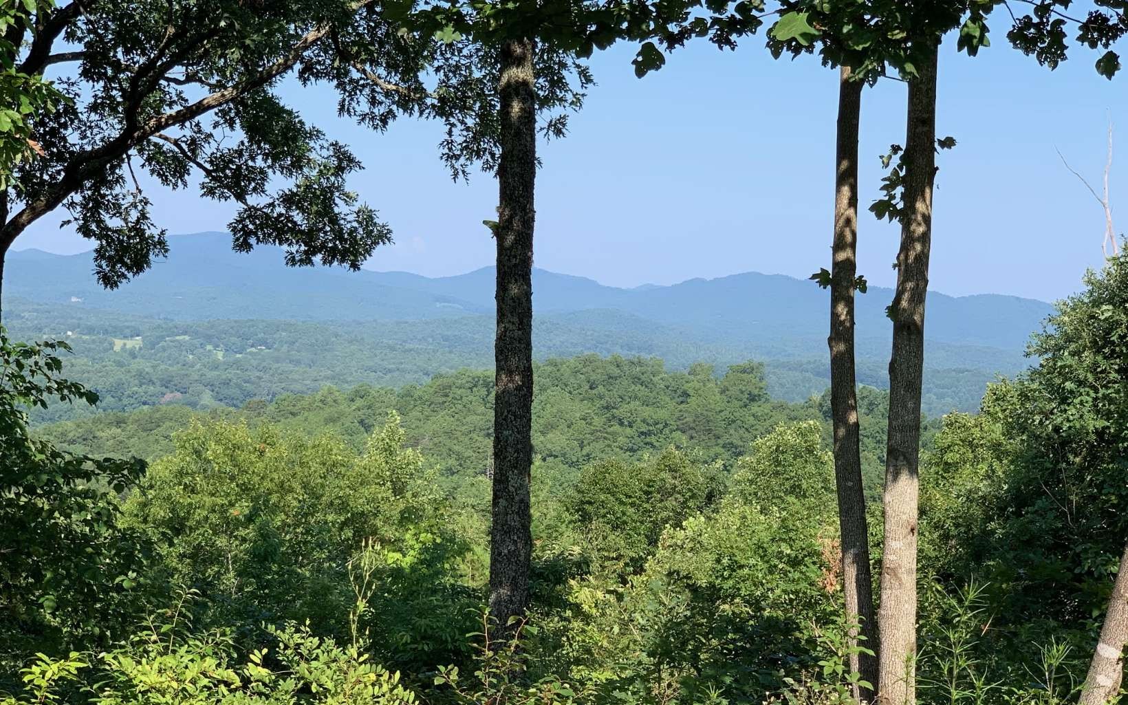 Other - Lot 7 Golden Oaks, Warne, NC