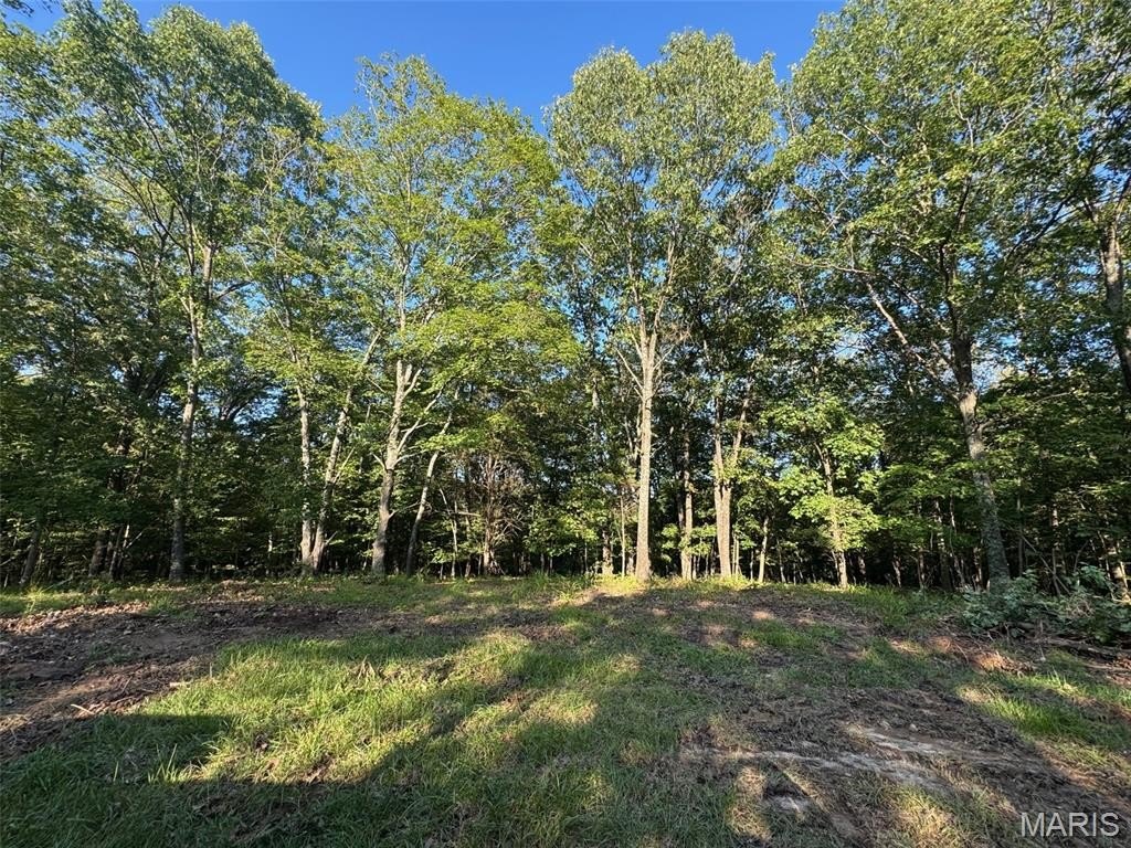 Other - 150 Steeple Point Dr. Lot #10 Drive, Defiance, MO