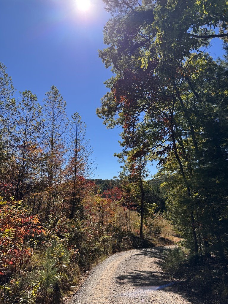 Other - Hwy 294, Murphy, NC