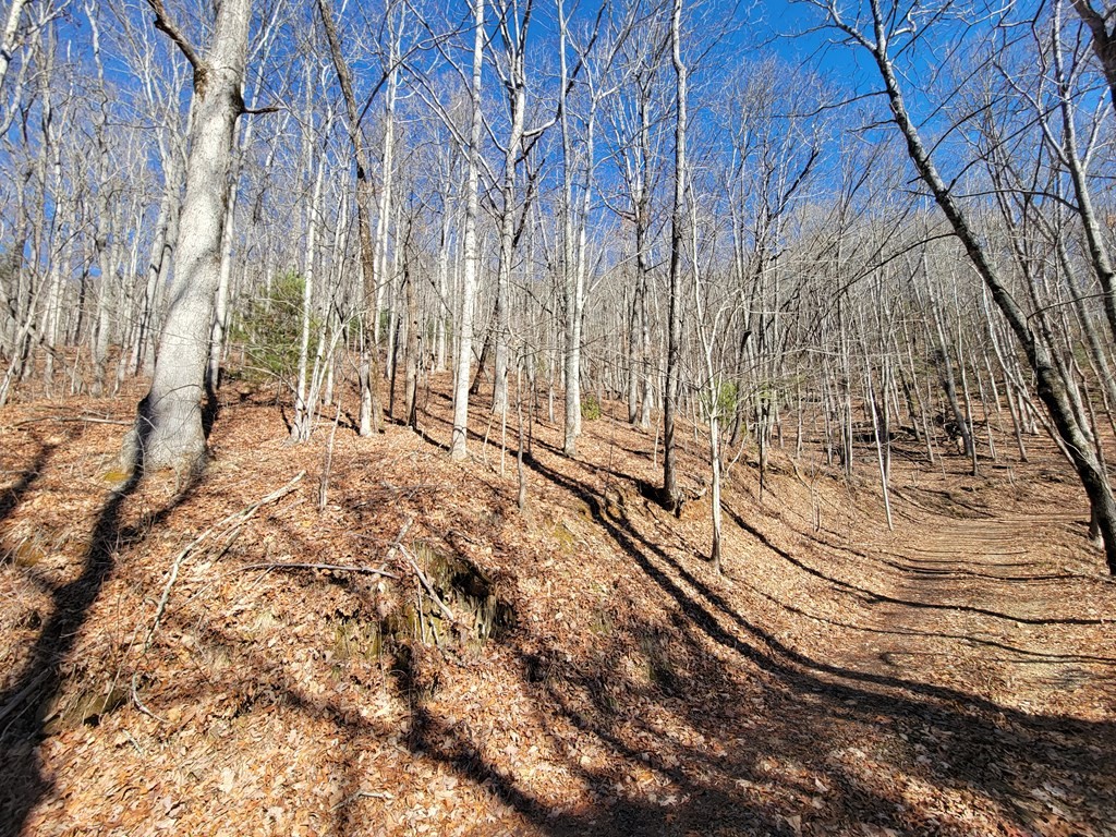 Other - Forest Dr. lot: 409, Franklin, NC