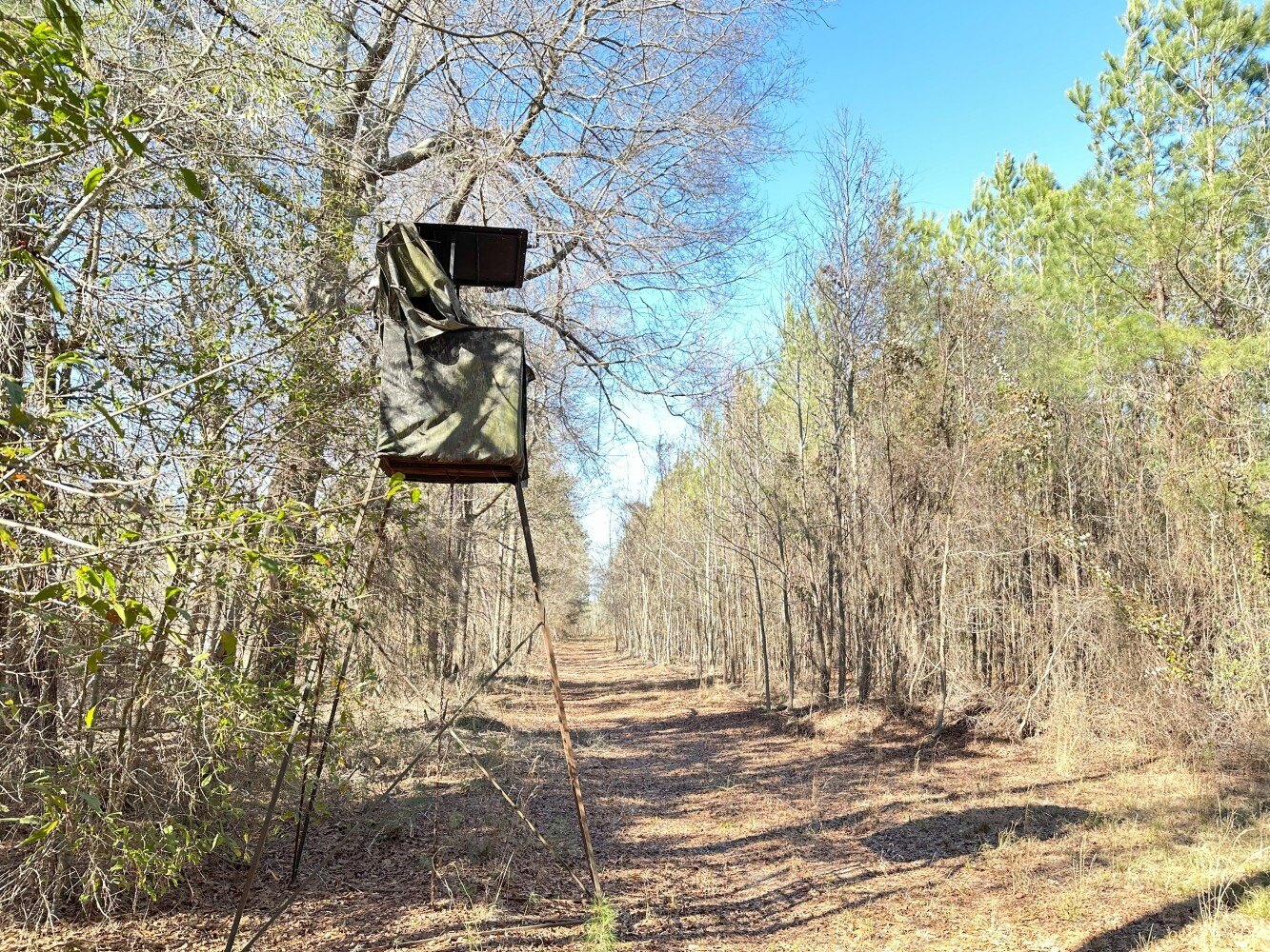 Other - Paddock Road, Manning, SC