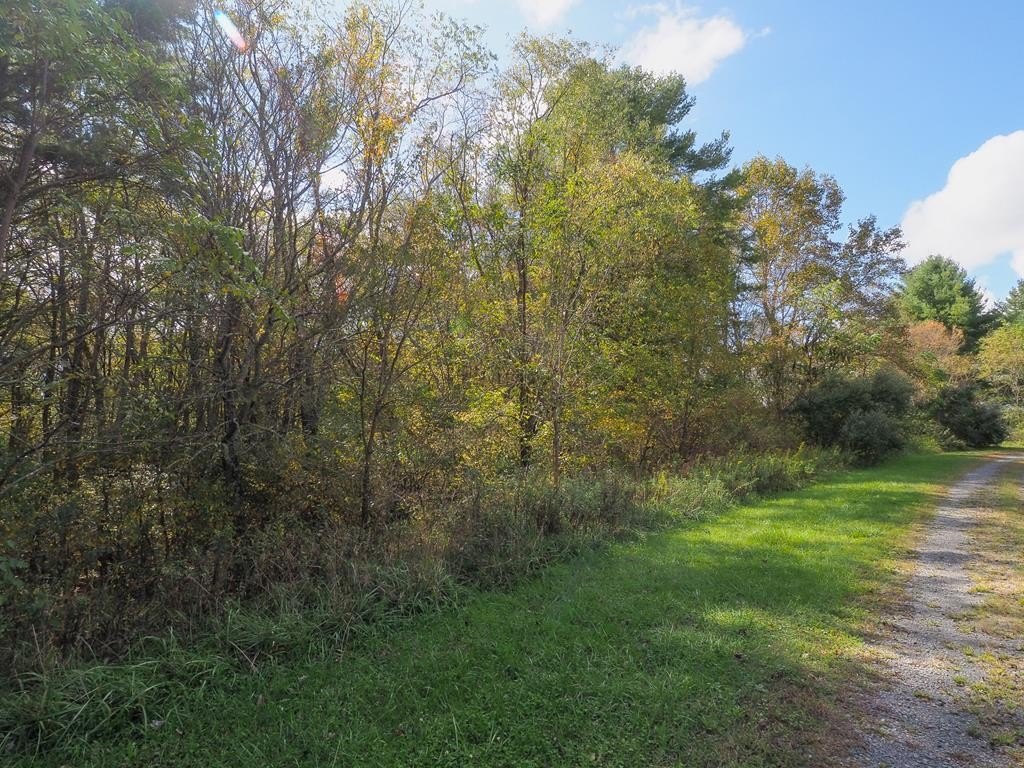 Other - Blue Lake Ln (Lot #40) lot: 40, Laurel Fork, VA